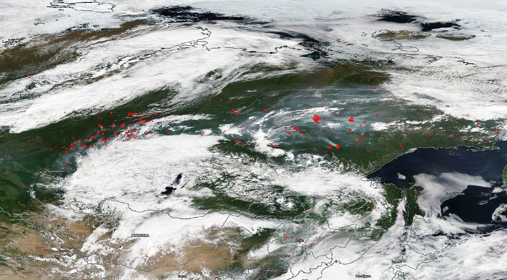 Worldview image of fires in Siberia