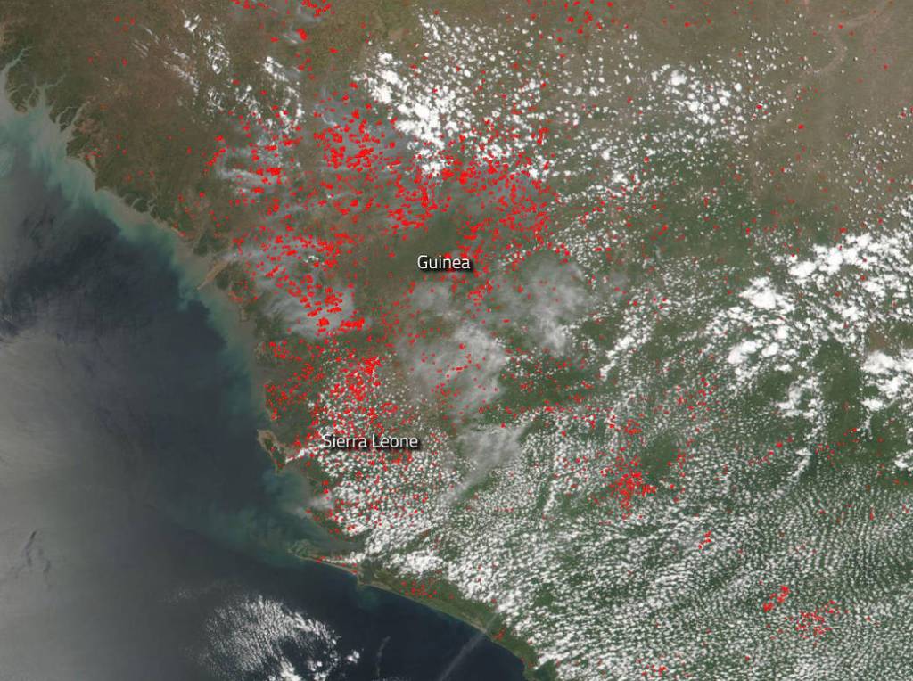 Agricultural Fires and Smoke Across Guinea and Sierra Leone