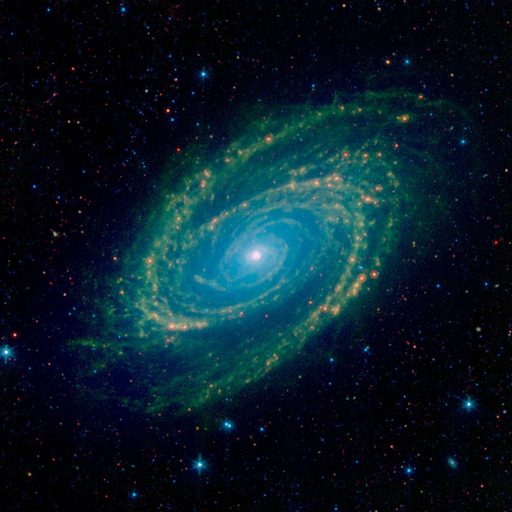 M81 Galaxy