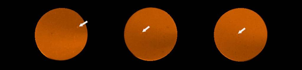 Comet Siding Spring As Seen From Balloon