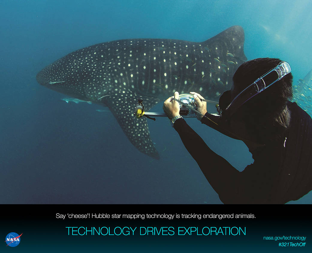 Say cheese, Hubble star mapping technology is tracking endangered animals.