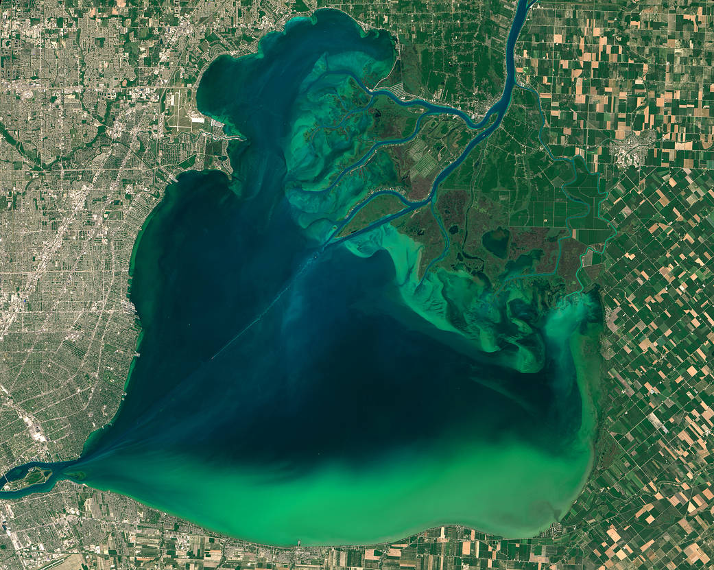 Satellite image of lake with green algal bloom near shore