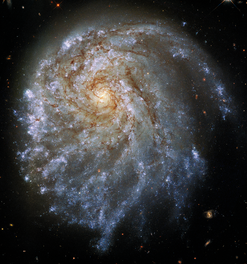 The magnificent spiral galaxy NGC 2276 looks a bit lopsided in this Hubble Space Telescope snapshot. 