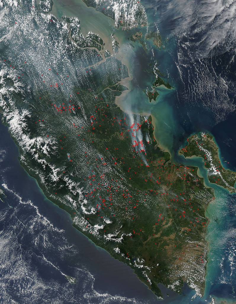Peat Fires in Sumatra Strengthen in El Nino Years