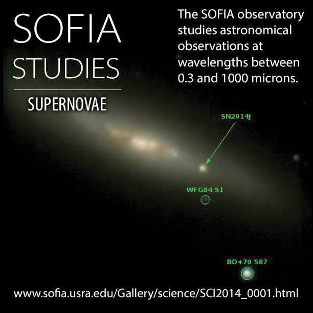 SOFIA Studies Supernovae