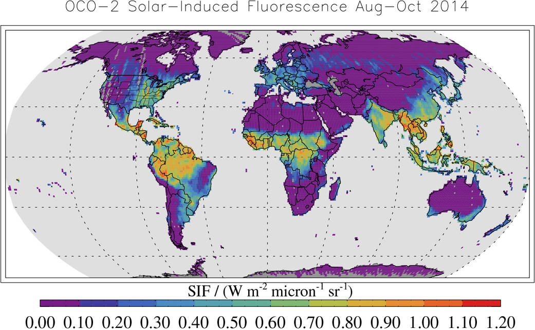 Map shows solar-induced fluorescence, a plant process that occurs during photosynthesis, from Aug. through Oct. 2014 