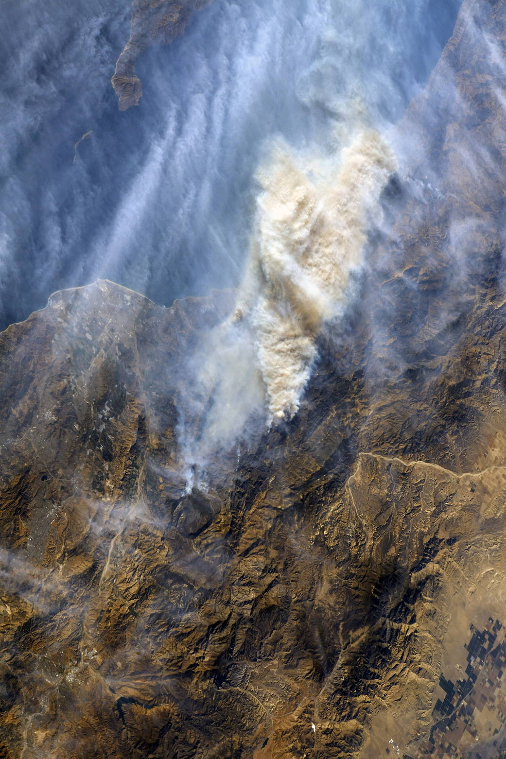 Plumes of smoke rising from wildfires, photographed from orbit