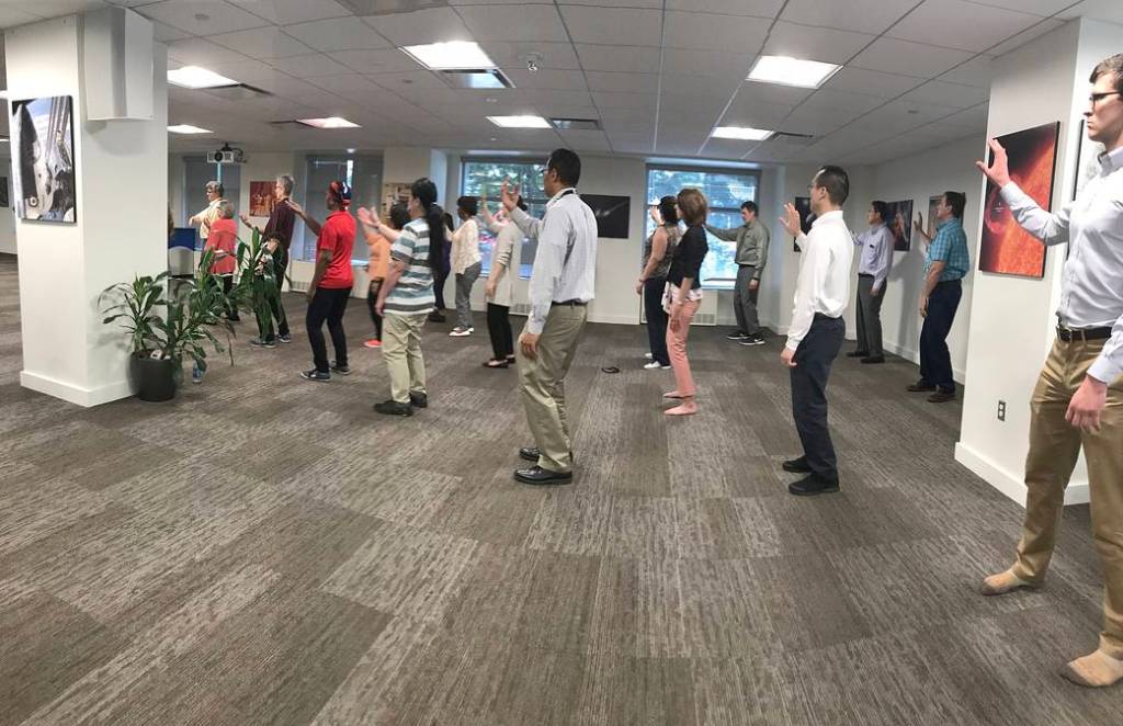 Tai chi and Qi gong Workshop