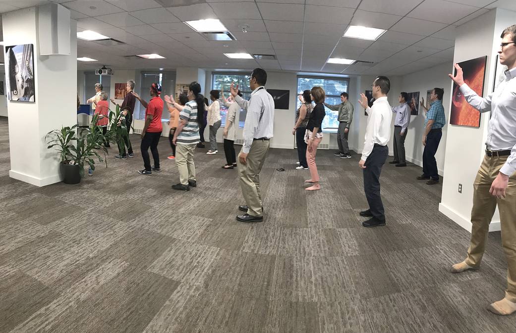 Tai chi and Qi gong Workshop 2018