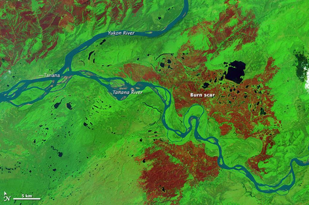 Burn Scars around Tanana, Alaska