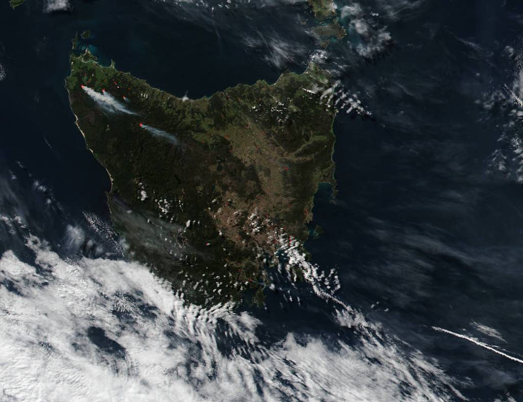 Vegetation and Prescribed Burns In Tasmania