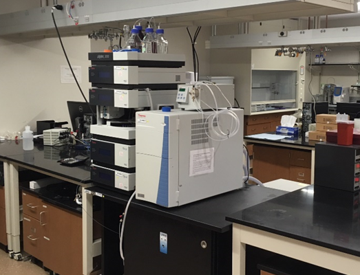 Liquid chromatograph mass spectrometer.