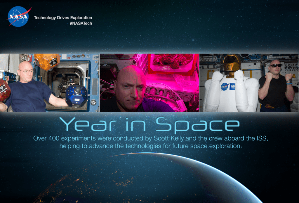 Year in Space
