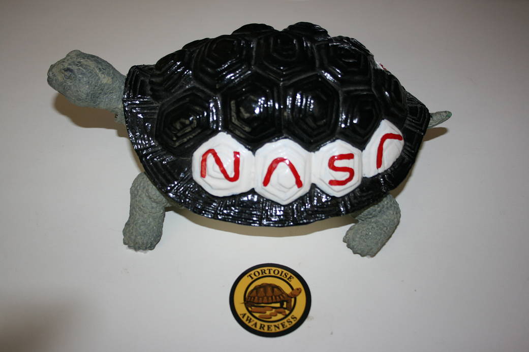 Patch: Tortoise Awareness Campaign