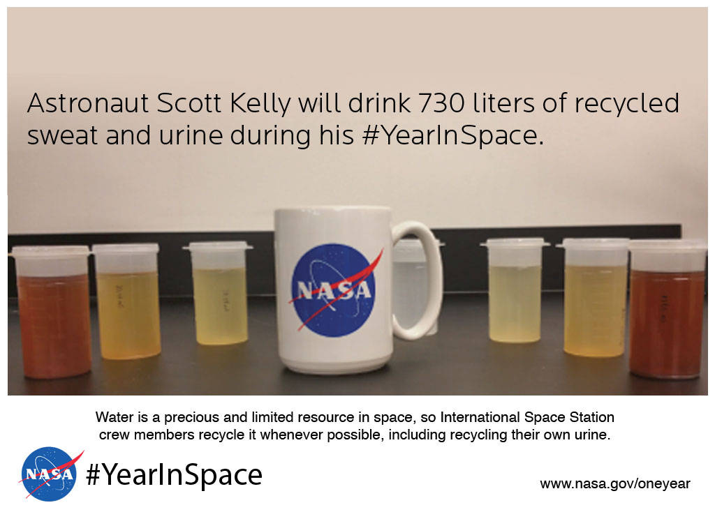 Year in Space Crew Will Drink 730 Liters of Recycled Urine and Sweat