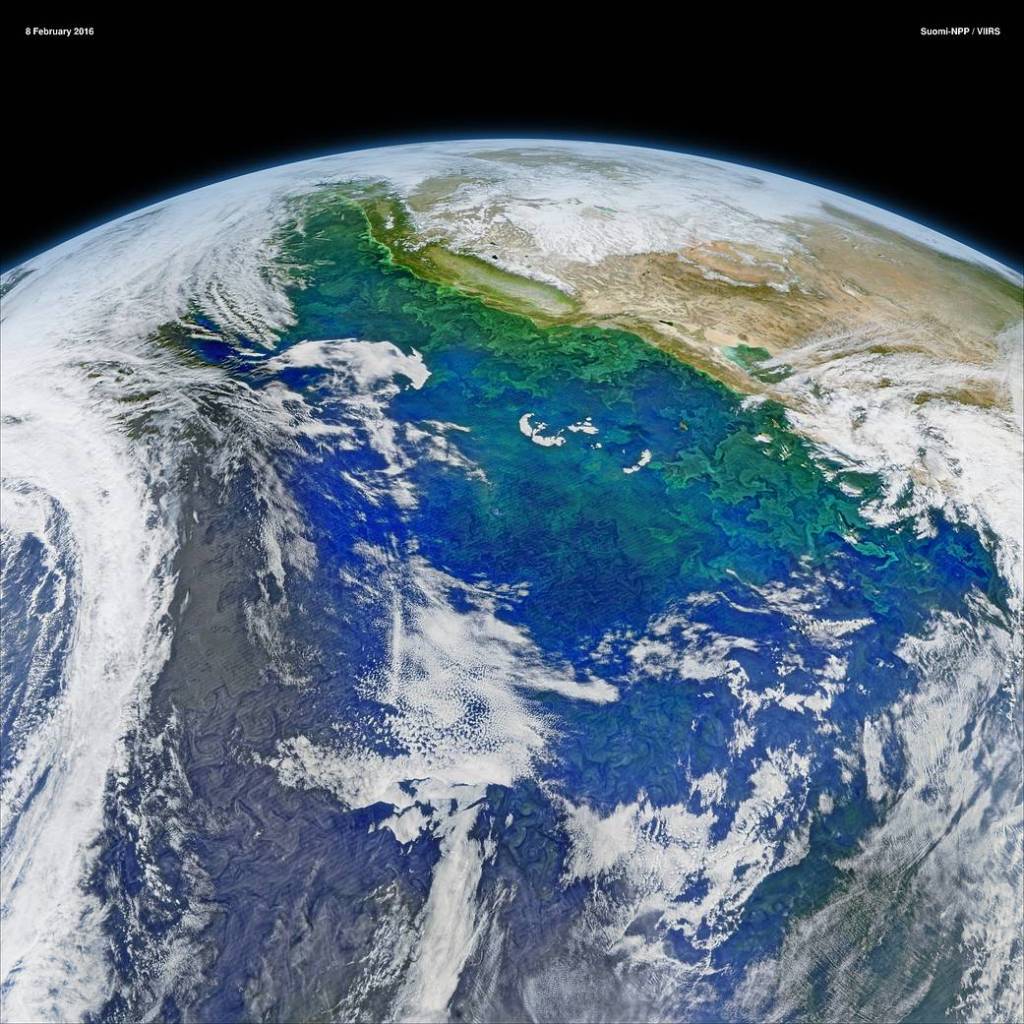 The California Current System