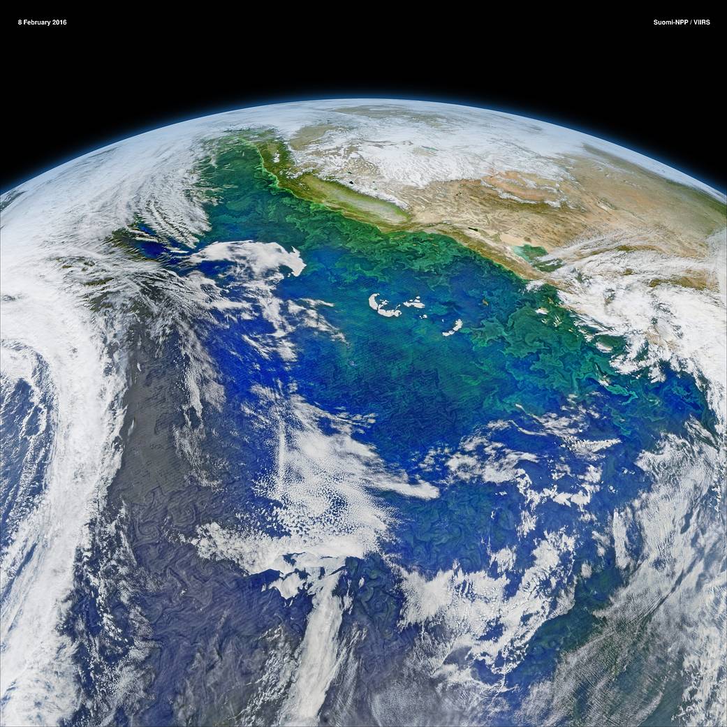 Composite image from low Earth orbit of phytoplankton in California waters