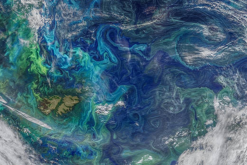 A satellite image shows ocean eddies, or whirlpools, forming colorful swirls of blue, turquoise, and green during a phytoplankton bloom. A brown body of land, shaped a bit like two dogs back to back, is visible near the lower left of the screen. Sparse white clouds cover the edges of the image.