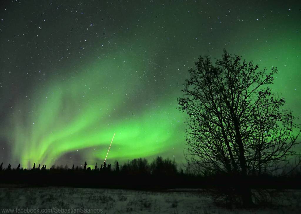VISIONS Rocketing into the Northern Lights