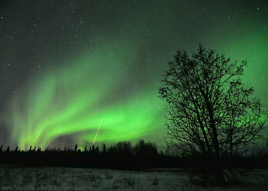 A rocket streaking into the aurora at 11:21 p.m. local time on February 6, 2013.