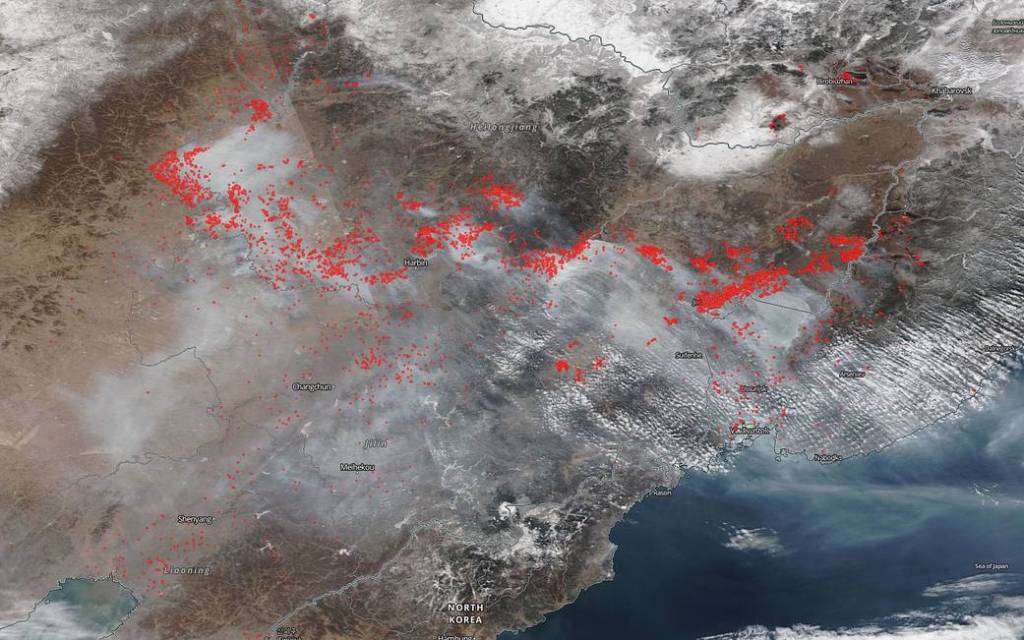 Number of Wildfires in Russia Increases in Days