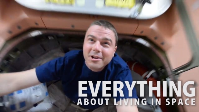Everything about living in space