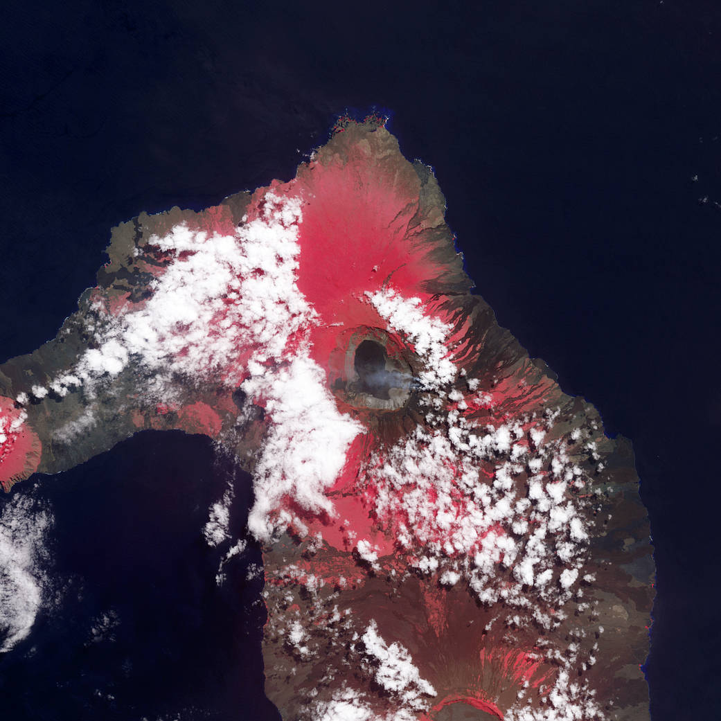 False-color image of volcano eruption on island with ocean surrounding