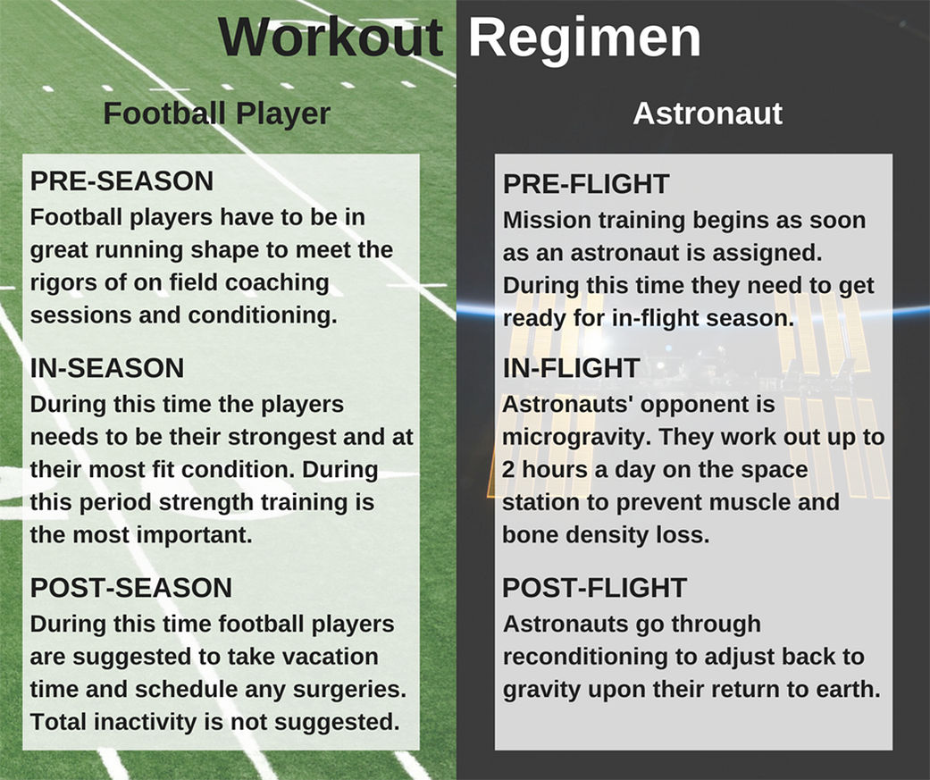 Workout Regimen