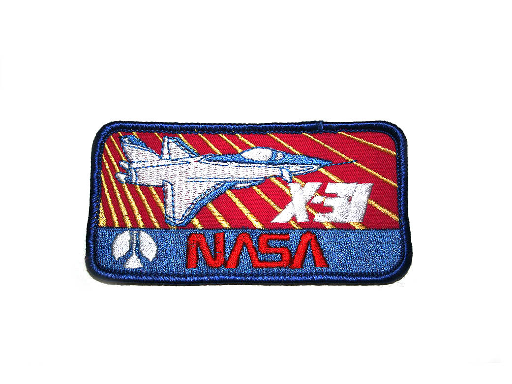 Patch: X-31 (worm logo)