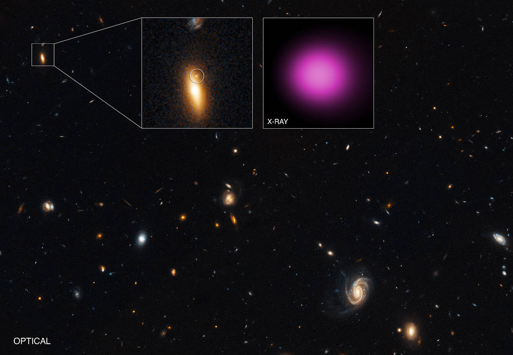 The wandering black hole XJ1417+52