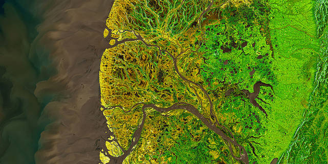 Landsat satellite image of the Yukon-Kuskokwim Delta