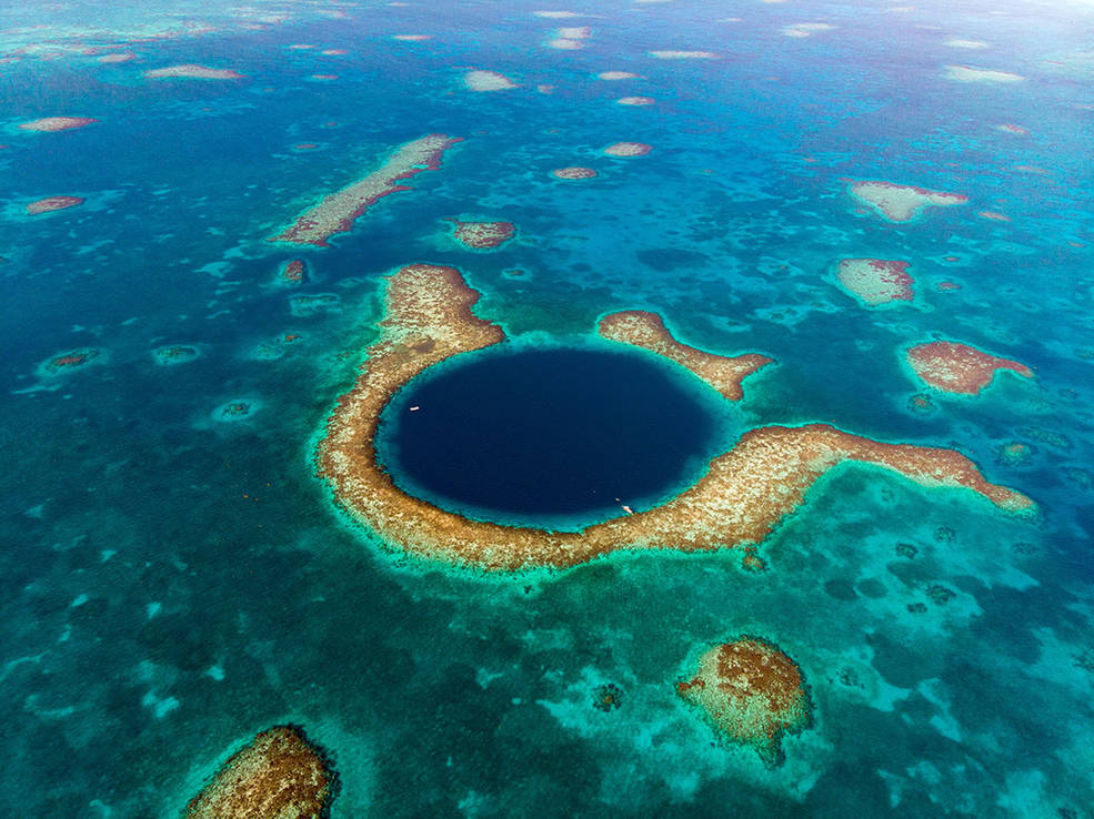 Coral reefs shown in variations of blue, green and yellow . 