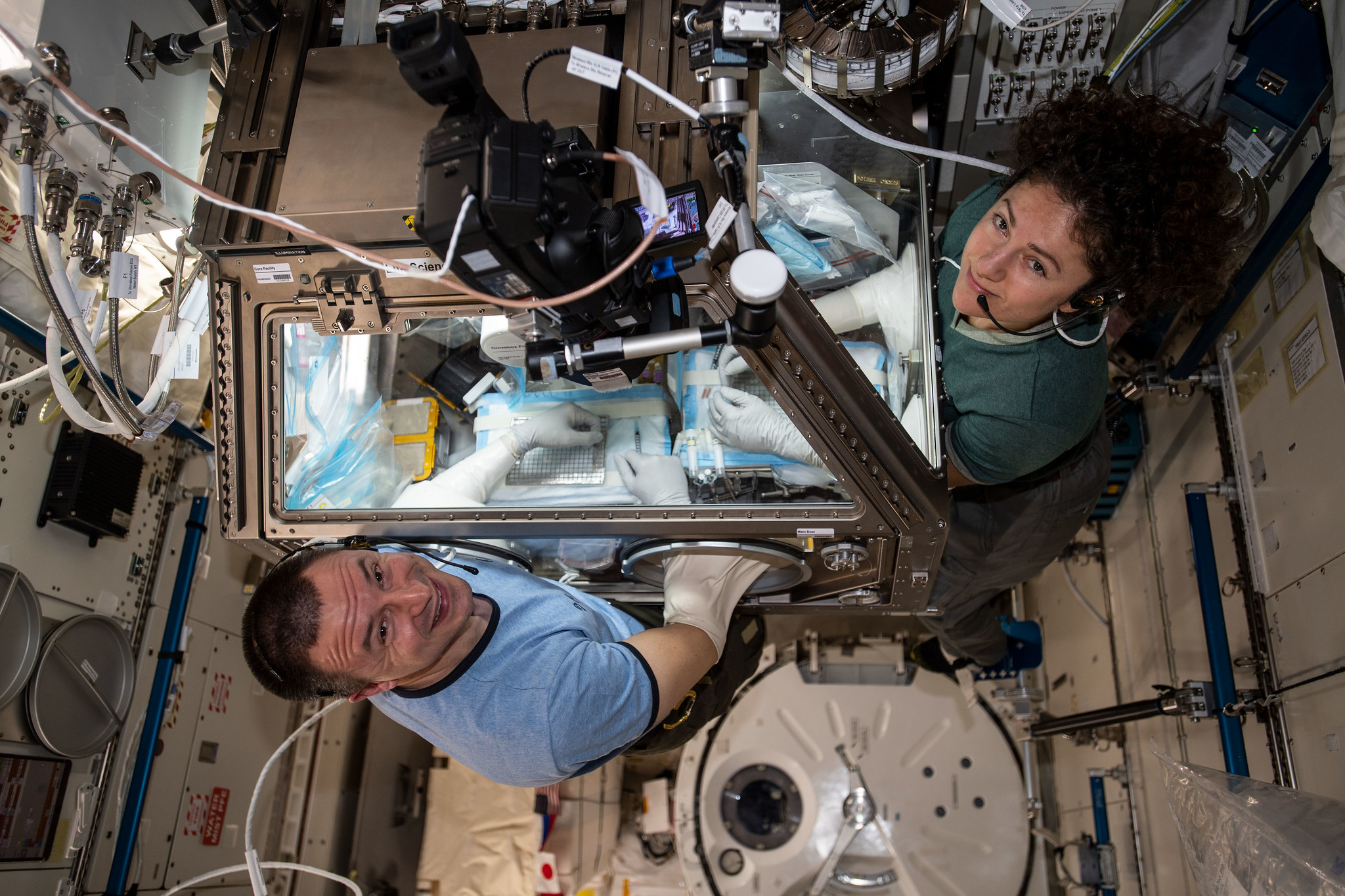 NASA astronauts Jessica Meir, in a green shirt, and Drew Morgan, in a blue shirt, with their hands inside white gloves visible through the top of the Life Sciences Glovebox, a lab facility the size of a large suitcase onboard the International Space Station. A video camera sits on top of the Glovebox, which contains mouse habitats and other equipment for scientific experiments.