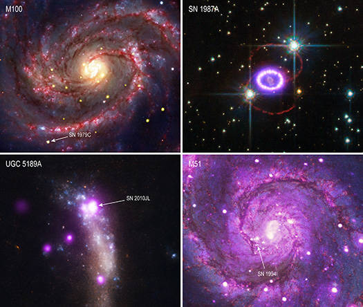 4 of the 31 supernovas in the study.
