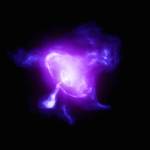This image of the Crab Nebula combines data from NASA’s Imaging X-ray Polarimetry Explorer (IXPE) in magenta and NASA’s Chandra X-ray Observatory in dark purple.