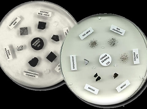 Photograph of lunar sample disks