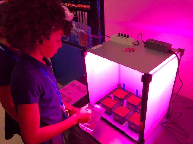 Girl watering 6 pots with soil and seeds in a box glowing with pink light.