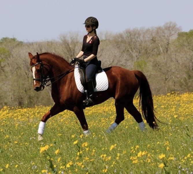 Hannah on horseback in a field of yellow flowers.