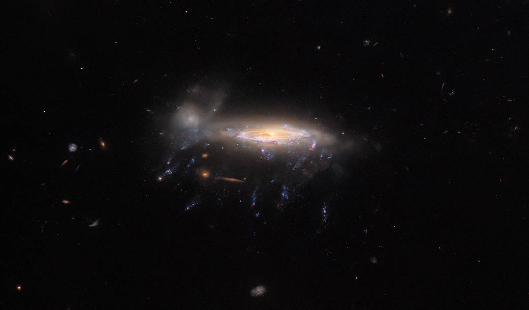 Spiral galaxy with bright core, spiral arms, and a slight glow surrounds it. Below, strands made of bright blue patches trail down like tentacles. Galaxy is just touched by a second, faint galaxy on left. 