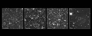 LUCY captures its first views of four Jupiter Trojan asteroids. From left to right in the above image: Eurybates, Polymele, Leucus, and Orus.