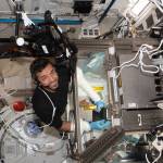 Expedition 68 Flight Engineer Sultan Alneyadi