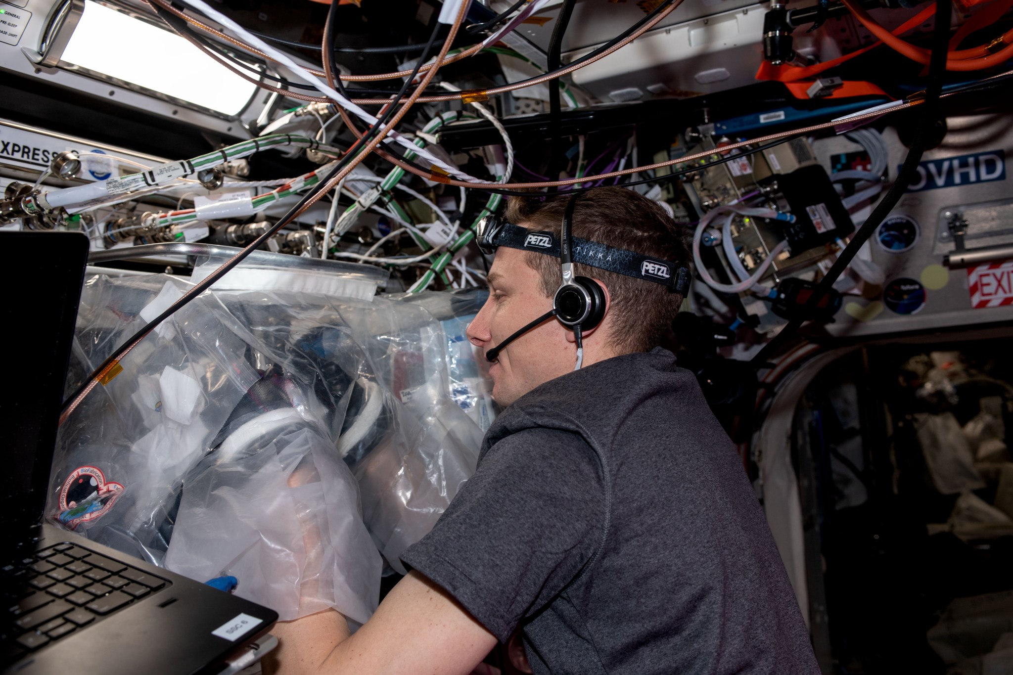 El astronauta de la NASA Warren “Woody” Hoburg trabaja en BFF-Meniscus-2, una investigación que evalúa el uso de la Instalación de BioFabricación (BFF) de la estación para imprimir en 3D un menisco o tejido de cartílago de rodilla.