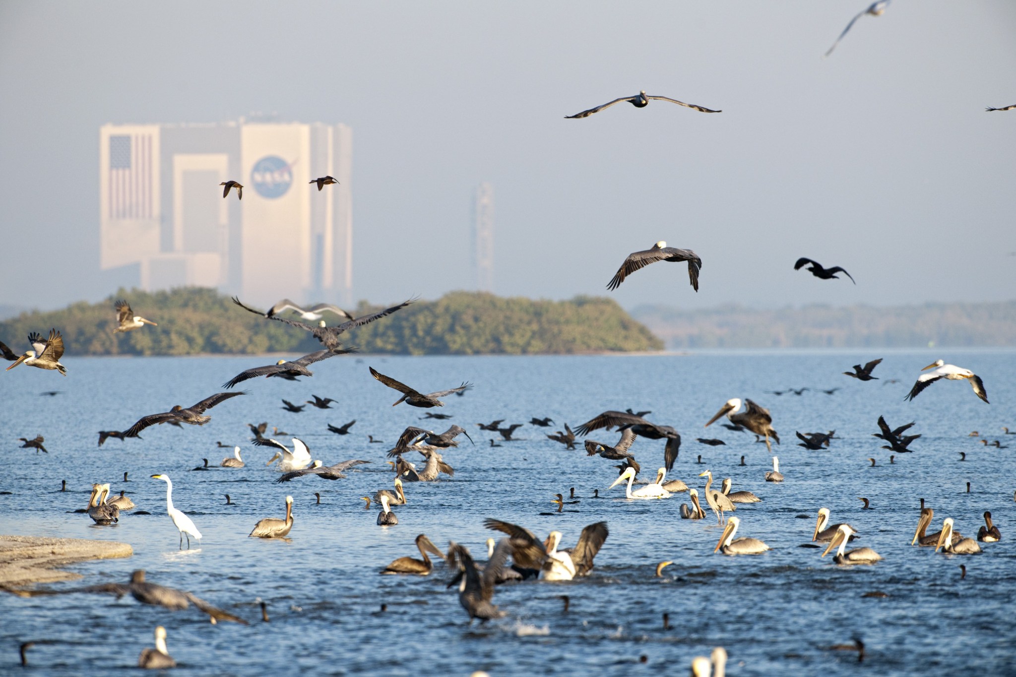 Birds are seen flying over the water at NASA's Kennedy Space Center in Florida. In the background is the iconic Vehicle Assembly Building.