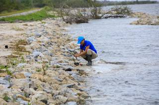 A team member from Kennedy’s Environmental Management Branch works to remove a mangrove seedling on the shoreline of Kennedy Athletic, Recreation, and Social (KARS) Park at Kennedy Space Center in Florida on April 12, 2023. 