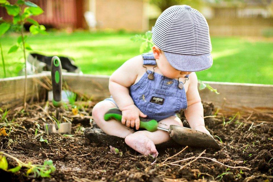 A baby plays in the dirt in “The Home Gardener,” a photo captured and submitted by Genevieve Vigil for Marshall’s Earth Day 2020 photo contest. The young planter’s portrait won third place in the Color Photo category. 