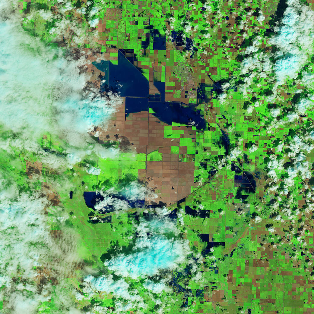 On March 29, 2023, the Landsat 8 satellite acquired this enhanced color image of agricultural fields near Corcoran covered with water. The water (dark blue) stands out from the surrounding green vegetation and brown bare ground.
