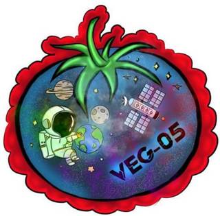The winning mission patch for NASA’s VEG-05 experiment, created by a middle school student from Hialeah Gardens Middle School in Florida. 