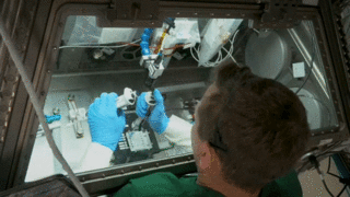 Video de un astronauta trabajando en una investigación en la EEI.