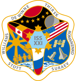 Expedition 21 Insignia