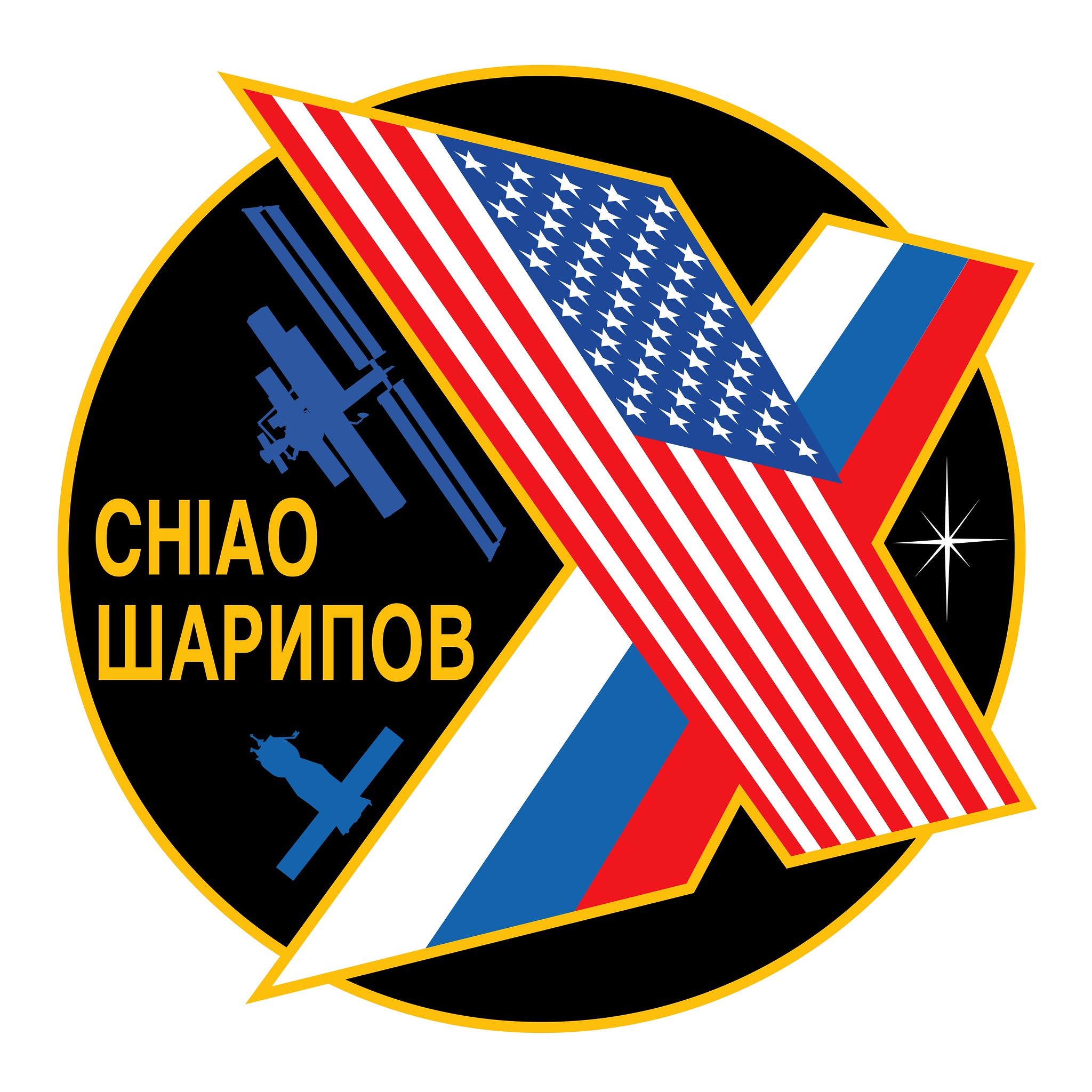 Expedition 10 crew insignia